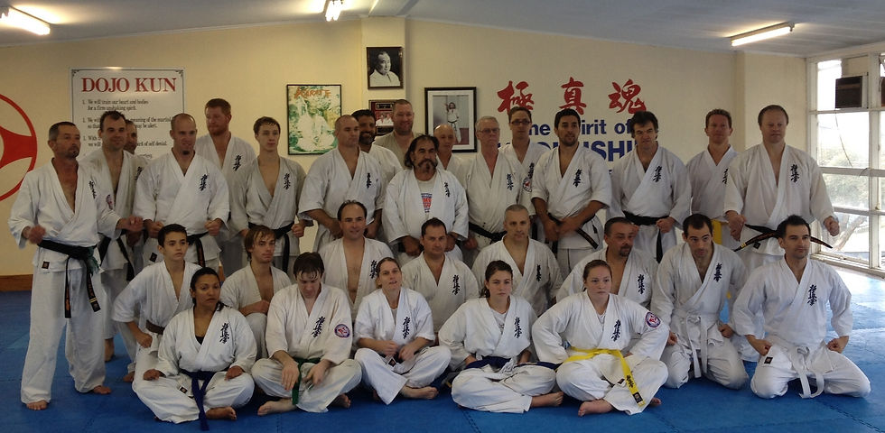 Kyokushin Karate Banner